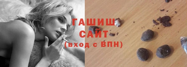 СК Сосновый Бор