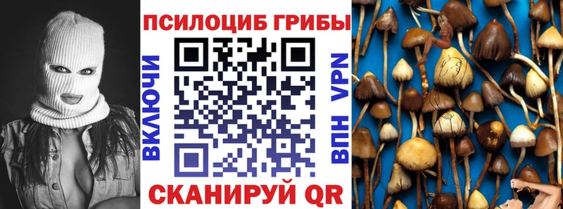 цена наркотик  Советск  это какой сайт  Псилоцибиновые грибы GOLDEN TEACHER 