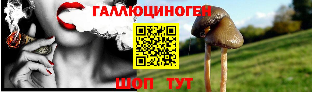 Псилоцибиновые грибы мицелий Советск